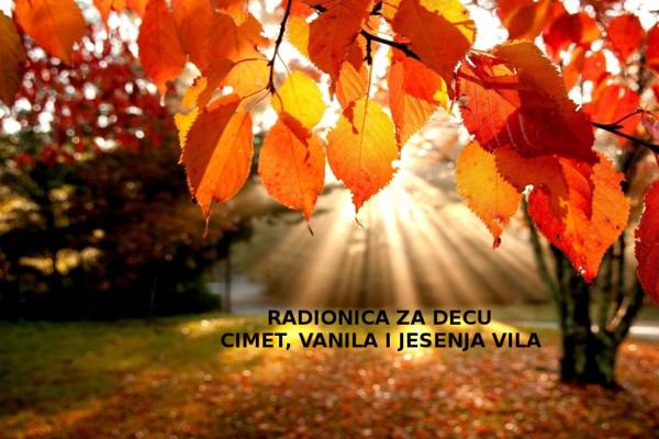 Cimet vanila i jesenja vila0020